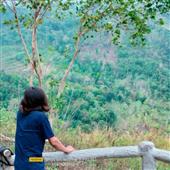 Lịch t