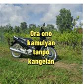 Khỉ Độ