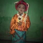Plushi
