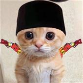 Geng v