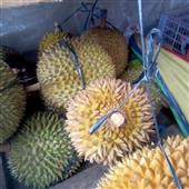 Người 