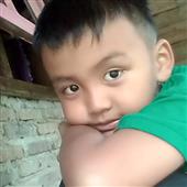 Bắt Cá