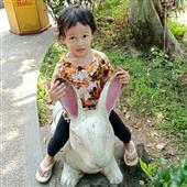 Đài Ng