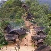 Trực t