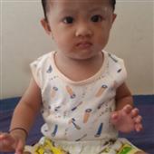 Lịch t