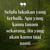 Best o