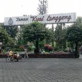Trâu v