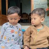 Ngọn l