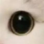 Các th