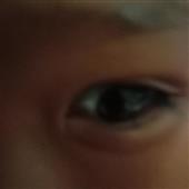 Bài cà