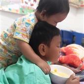 Đấu bò
