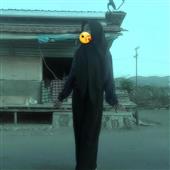 GẤU ĐE