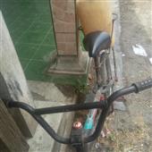 Báu Vậ
