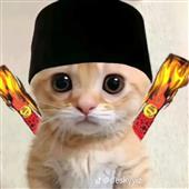 Nhà vô