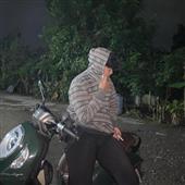Đội bó