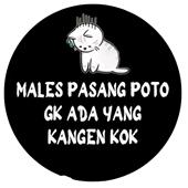 Hải Vư