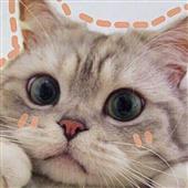 Hồi Hộ