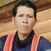 Champi