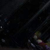 Live C
