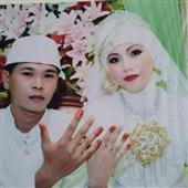 Mô phỏ