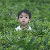 Hoảng 