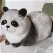 VUA BẮ