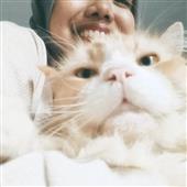 App đá