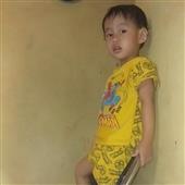 tiệc t
