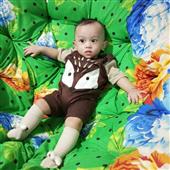 Đảo Mạ