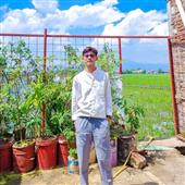 Cá cượ