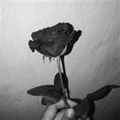 Bảng x