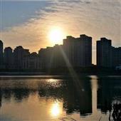 Vũ hội