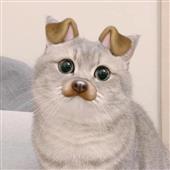 Truyền