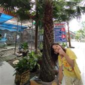 Đánh b