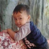 Lịch t