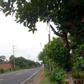 Bảng x