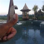 Trực t