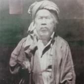 Quần v