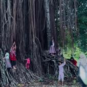 Vũ Hội