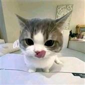 Chiến 