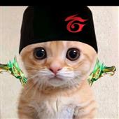 Giải b