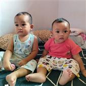 Thuật 