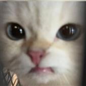 Bóng c