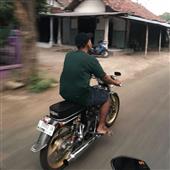 Cú dứt