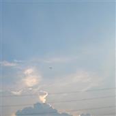 Vận mệ