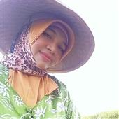 Lịch t