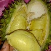 Cuộc c