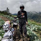 Bá Hổ 