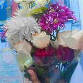 Bảng x