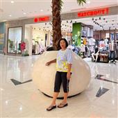 Bảng x